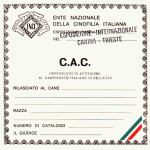 CAC-ENCI-150x150 Standard del Bouledogue Francese Cinognostica 