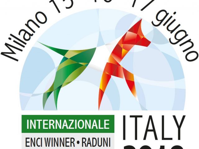 Enci-Winner-2018-640x480 YARNO Dell'Antico Guerriero (BOZZA 01) 