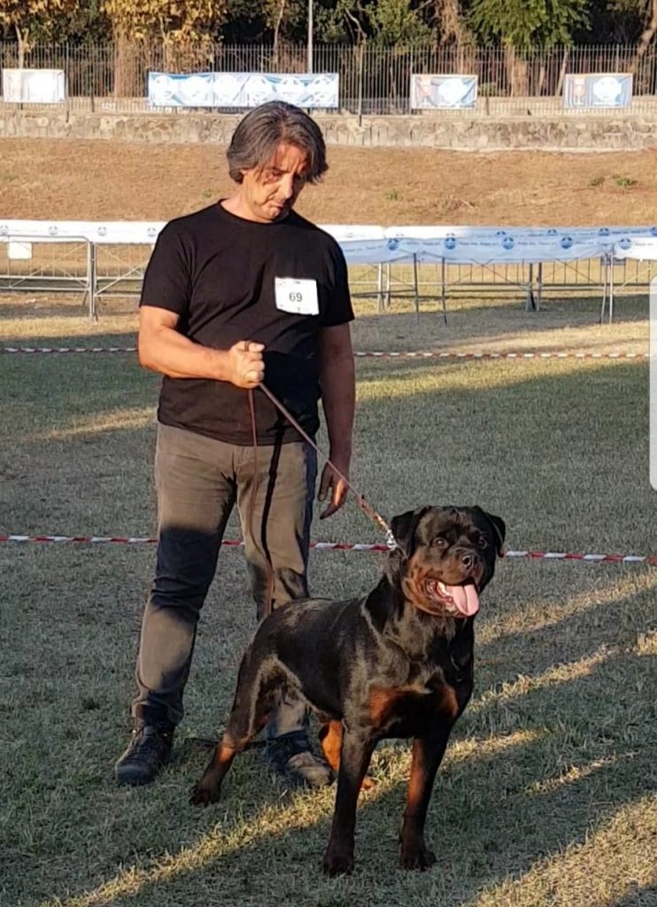 Francis-Zamperini-et-Vin Diesel-DellAntico-Guerrier-Championnat-social-2018-742x1024 38 Championnat social Rottweiler - Ercolano - 28,29 septembre 2018 Briser Nouvelles Expo Francesco Zamperini en vedette Nouvelles multimédia Tests travail Rottweiler 