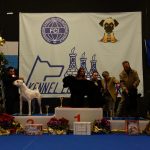 San-Marino-Dog-Show-Vin-Diesel-Dell-Antico-Guerriero-150x150 IFR IPO 2018 Breaking News Expo Francesco Zamperini Multimediali News Prove Lavoro Rottweiler 