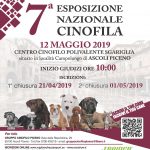 locandinaexpoAscoliPiceno2019-150x150 Expo Internazionale - Viterbo 3 Giugno 2018 Allevamento Expo News Rottweiler 