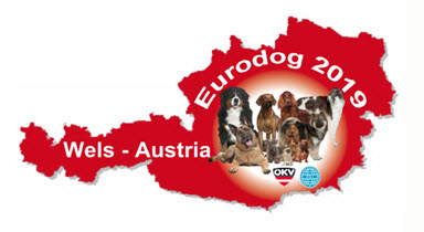 EDS-2019-Banner Rottweiler - Cucciolata - Novembre 2022 Allevamento Breaking News Expo Francesco Zamperini HomePage - col02 In Evidenza News News - Zamperini Rottweiler Scelte da Zamperini 