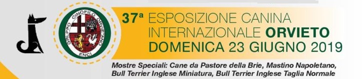 scheda-esposizione-internazionale-di-Orvieto-2019 37 Esposizione Internazionale di Orvieto - 23 Giugno 2019 Expo Francesco Zamperini News Più Lette Rottweiler Scelte da Zamperini Varie Yarno Dell'Antico Guerriero 