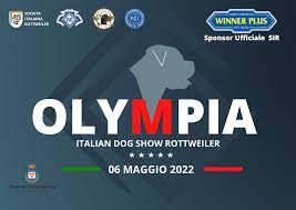 olympis-Dog-Show-Rottweiler-2022 Olympia Show 2022 - Nyla Dell'Antico Guerriero Allevamento Breaking News Francesco Zamperini News News - Zamperini Rottweiler Scelte da Zamperini 
