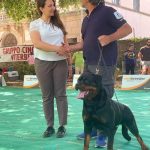 Walkyria-DellAntico-Guerriero-Internazionale-di-Viterbo-2022-150x150 International Dog Show e Roma Winner - 22 Ottobre 2017 Expo News Rottweiler 